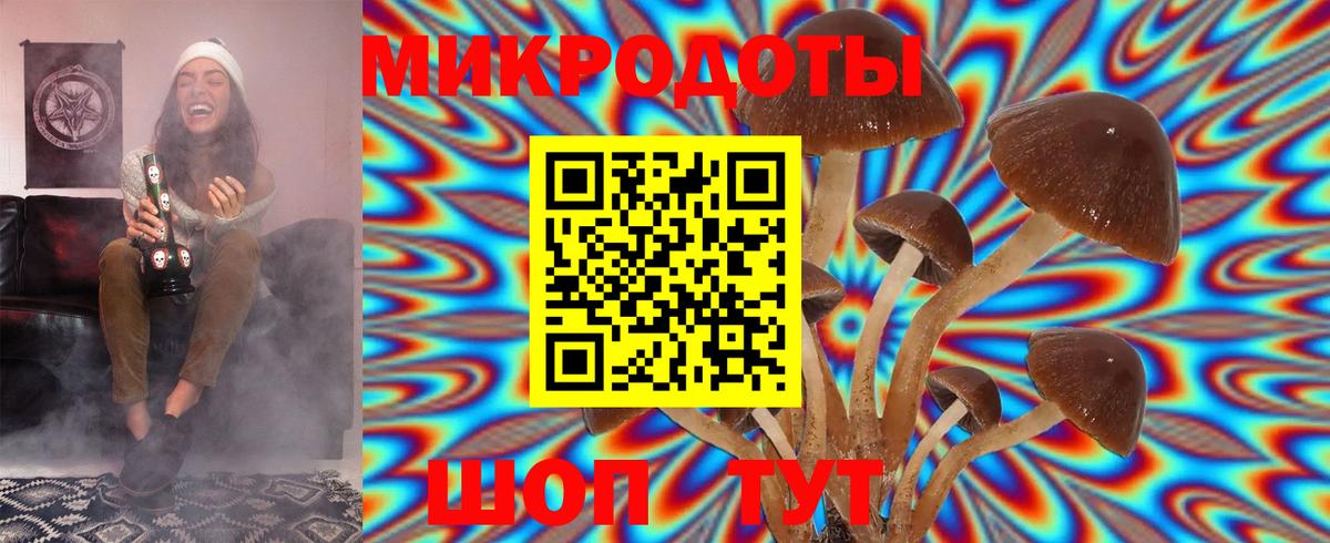 Псилоцибиновые грибы Psilocybine cubensis  Вход с VPN  Жуковский 
